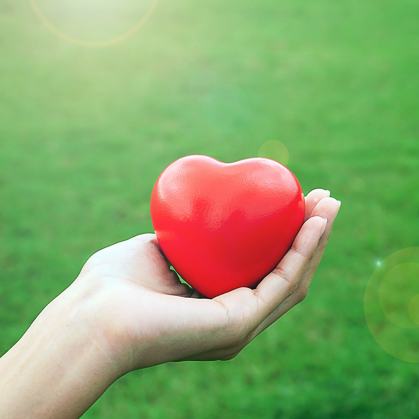 Cardiac Wellness: 8-week Group Program